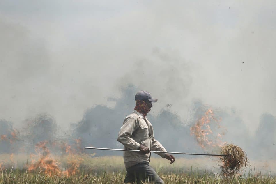 Pekerja sawah membakar jerami kering selepas kerja-kerja menuai sebelum proses penanaman semula dilakukan ketika tinjauan di sekitar Jalan Parit  4 Sekinchan, Selangor pada 16 November, 2023. Zulfadhli Zaki | Media Selangor