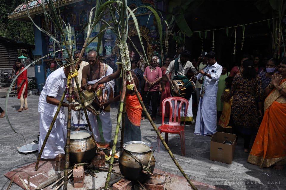 Penganut Hindu memulakan ritual sambutan Pesta Ponggal dengan memasak susu sehingga mendidih sewaktu sambutan Pesta Ponggal di Batu Caves pada hari ini. Zulfadhli Zaki | Media Selangor