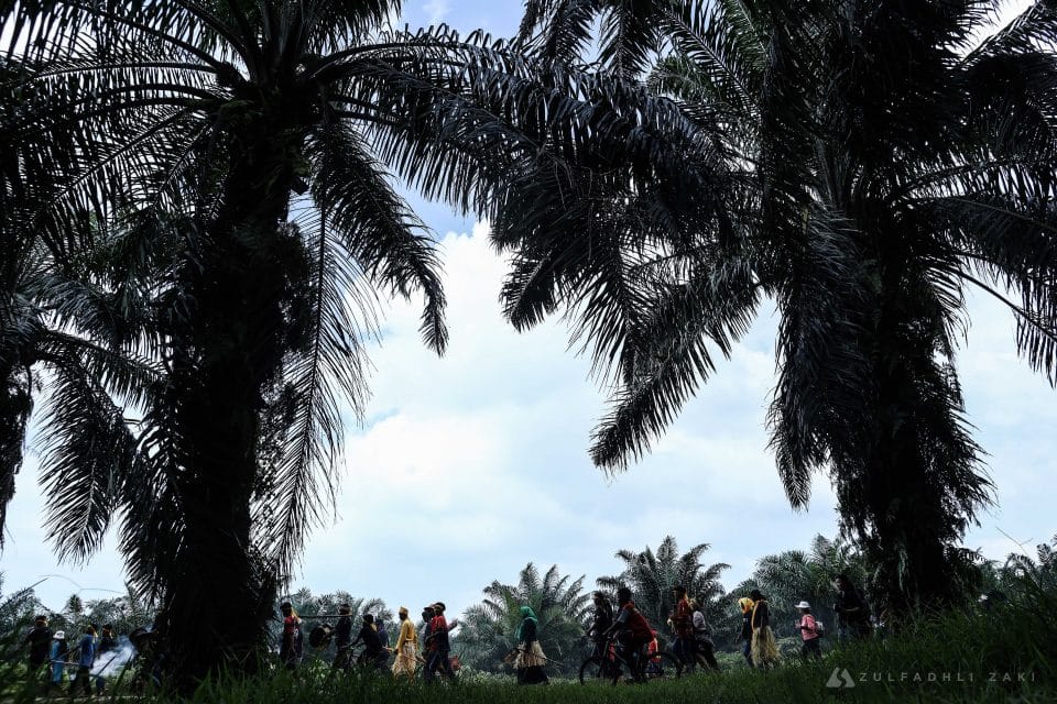 Kaum Mah Meri berarak ke pantai sejauh empat kilometer bagi menyempurnakan sambutan Hari Moyang Puja Pantai bagi meraikan semangat nenek moyang mereka di Pulau Carey, Banting, Selangor pada hari ini. Zulfadhli Zaki | Media Selangor